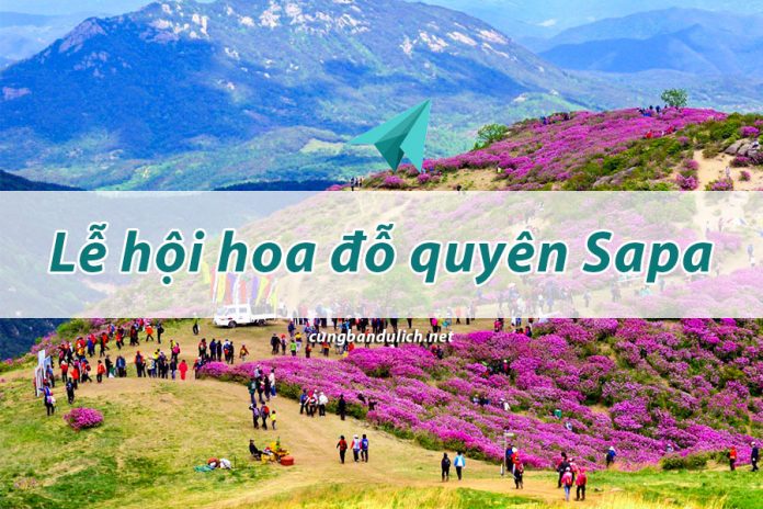 su-kien-le-hoi-hoa-do-quyen-sapa-2019