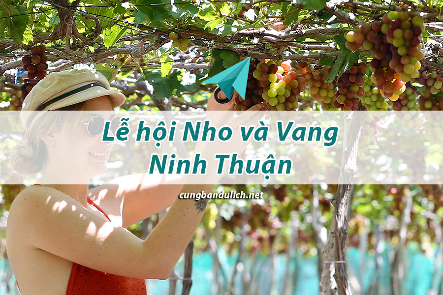 le-hoi-nho-va-vang-ninh-thuan-2019