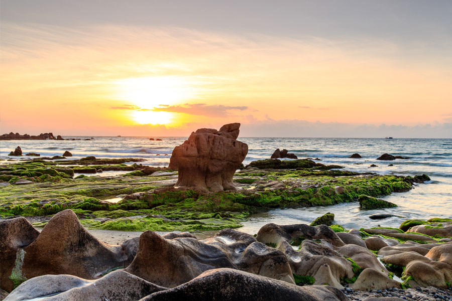 [Review] Khám phá bãi đá độc đáo tại bãi biển Cổ Thạch Bình Thuận