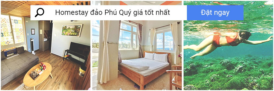 banner-homestay-dao-phu-quy-gia-tot